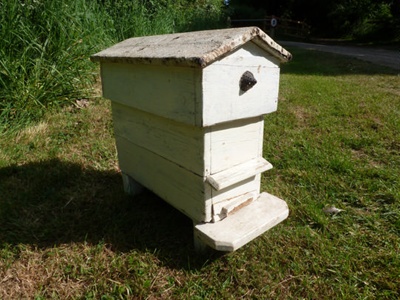Nucleus hive; 1940s - 1950s; STMEA:A.5650
