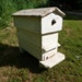 Nucleus hive; 1940s - 1950s; STMEA:A.5650