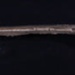 Thatcher's Knife; STMEA:A.2894