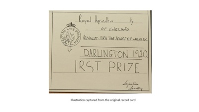 Certificate; 1920; STMEA:1987-34.456