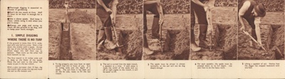 Leaflet; The Ministry of Agriculture, Fisheries and Food; STMEA:1991-21.9