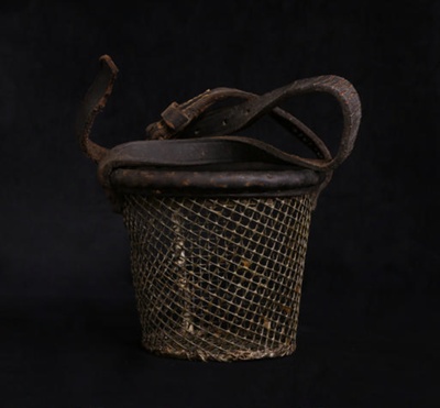 Calf muzzle; STMEA:A.1314