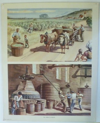 Colour Print; Macmillan Education Ltd.; STMEA:1989-4.215