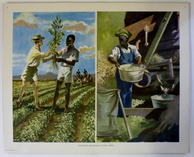 Colour Print; Macmillan Education Ltd.; STMEA:1989-4.203 Colour Print; Macmillan Education Ltd.; STMEA:1989-4.203