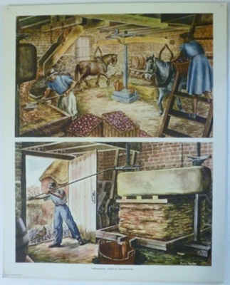 Colour Print; Macmillan Education Ltd.; STMEA:1989-4.213