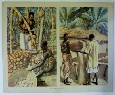 Colour Print; Macmillan Education Ltd.; STMEA:1989-4.221