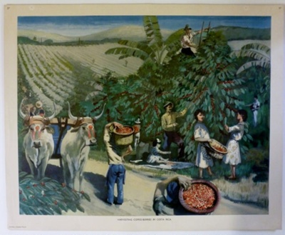 Colour Print; Macmillan Education Ltd.; STMEA:1989-4.219