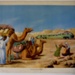 Colour Print; Macmillan Education Ltd.; STMEA:1989-4.207