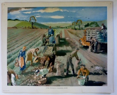 Colour print; Macmillan and Co Ltd; c1940-c1960; STMEA:1989-4.183