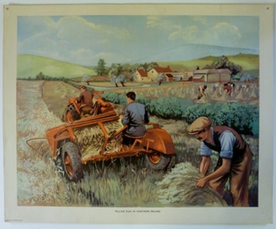 Colour Print; Macmillan Education Ltd.; STMEA:1989-4.227