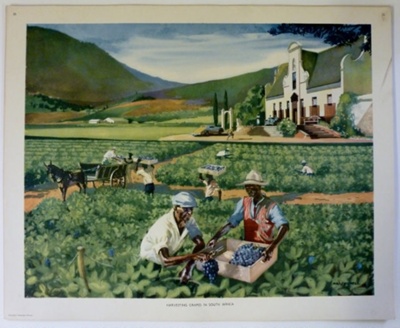 Colour print; Macmillan and Co Ltd; c1940-c1960; STMEA:1989-4.197