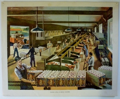 Colour print; Macmillan and Co Ltd; 1940s - 1960s; STMEA:1989-4.194