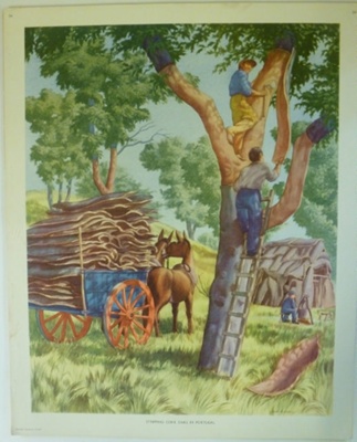 Colour Print; Macmillan Education Ltd.; STMEA:1989-4.216