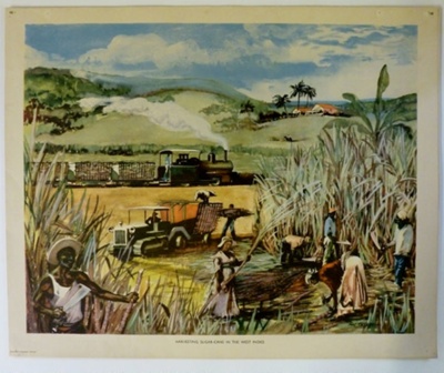 Colour Print; Macmillan Education Ltd.; STMEA:1989-4.210