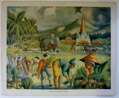 Colour print; Macmillan and Co Ltd; c1940-c1960; STMEA:1989-4.170