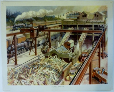 Colour Print; Macmillan Education Ltd.; STMEA:1989-4.239