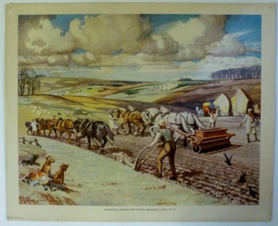 Colour Print; Macmillan Education Ltd.; STMEA:1989-4.331