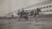 Photograph [Cow Pulling Buggy]; unknown photographer; 06.06.1953; MT2011.185.320