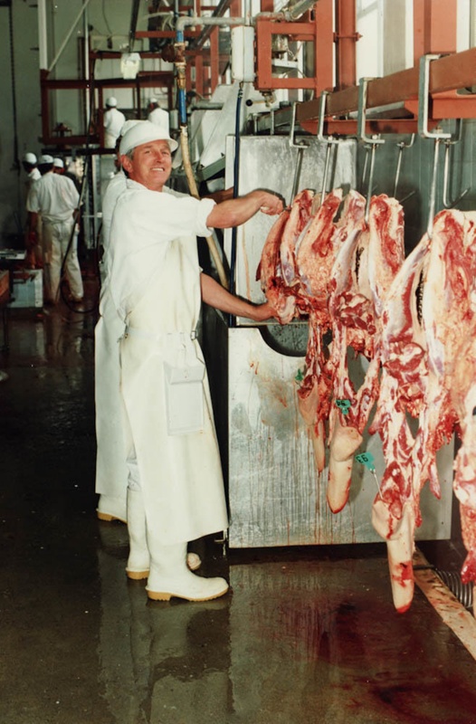 1/4 cow for sale near me image