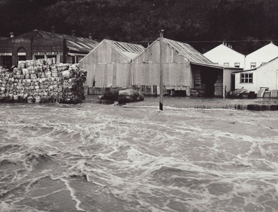 Photograph [1978 Flood, Pulp Storage Area, Mataura Paper Mill]; Henderson, Keith Raymond; 1973; MT2017.18.28 