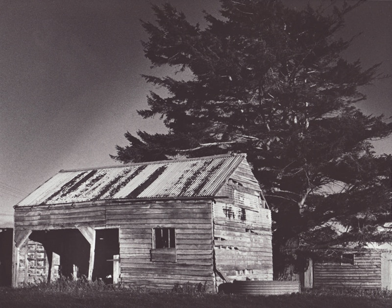 Photograph [Farm Sheds]; McKelvie, Ian; [?]; MT2011.185.382 eHive