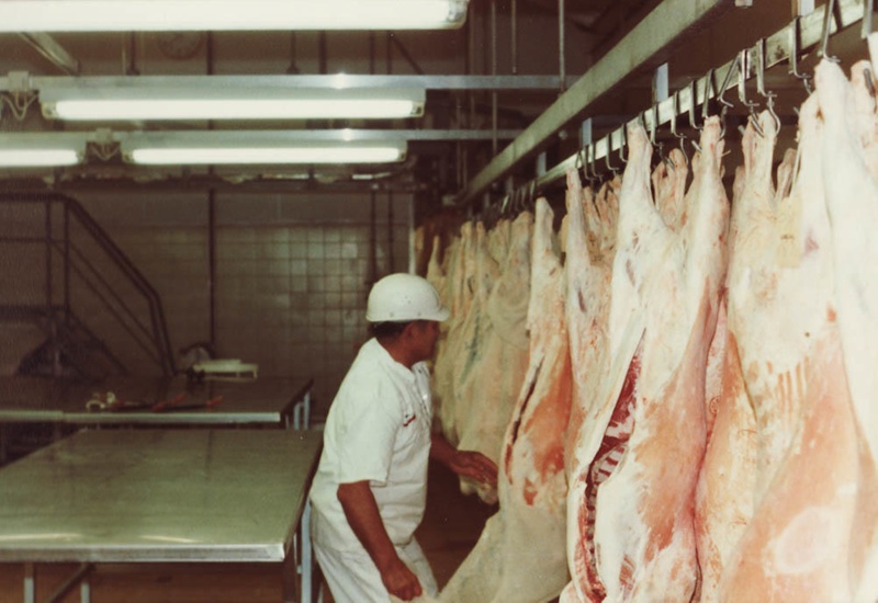 Photograph [Boning Room, Mataura Freezing Works]; Green,Trevor; 05.08. ...