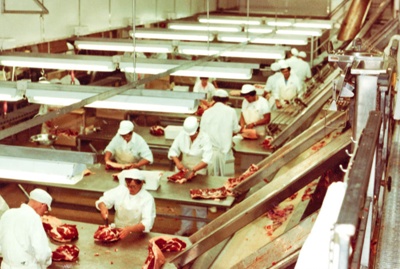 Photograph [Beef Trimming Tables, Mataura Freezing Works]; Green,Trevor ...