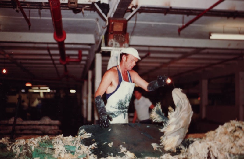 Photograph [Wool Pulling, Mataura Freezing Works]; Green,Trevor; 17.03. ...