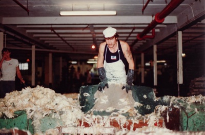 Photograph [Wool Pulling, Mataura Freezing Works]; Green,Trevor; 17.03. ...