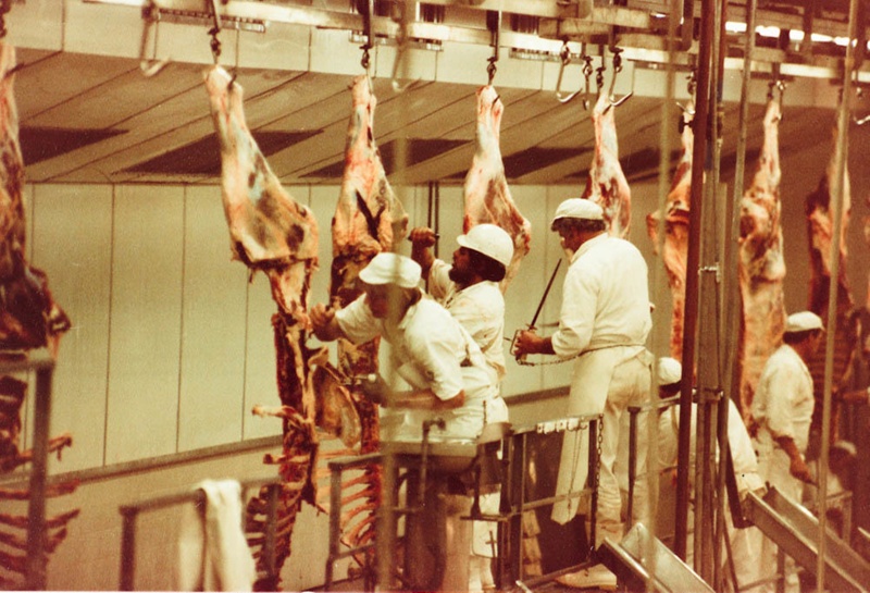 Photograph [Beef Boning, Mataura Freezing Works]; Green,Trevor; 09.06. ...