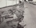 Photograph [1978 Flood, Kana Street]; Henderson, Keith Raymond; 1973; MT2017.18.7 