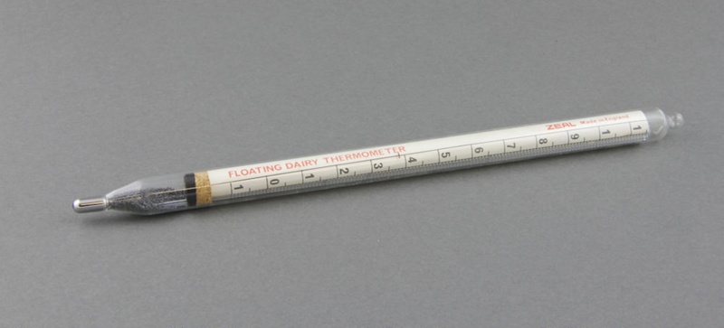Floating dairy thermometer