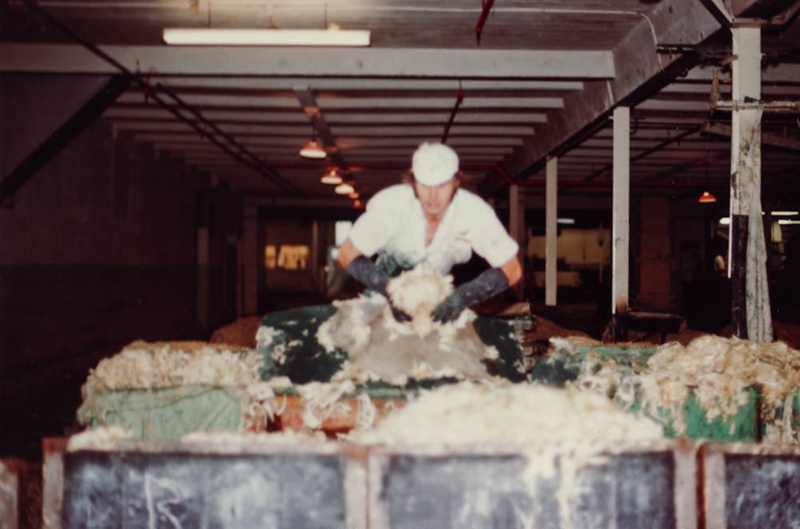 Photograph [Wool Pulling, Mataura Freezing Works]; Green,Trevor; 17.03. ...