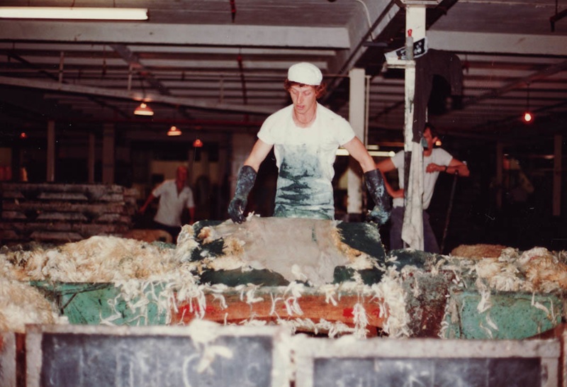 Photograph [Wool Pulling, Mataura Freezing Works]; Green,Trevor; 17.03. ...