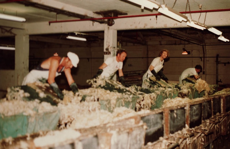Photograph [Wool Pulling, Mataura Freezing Works]; Green,Trevor; 17.01. ...