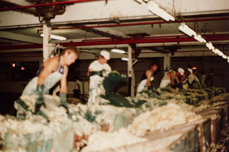 Photograph [Wool Pulling, Mataura Freezing Works]; Green,Trevor; 17.01. ...