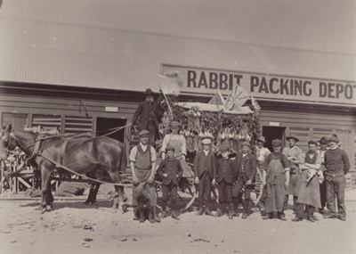Photograph [Mataura Rabbit Factory packing depot]; Greenwood, H.J.; 1896-1910; MT2011.185.85
