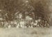 Photograph, [Linton Wedding,Tuturau, 1903]; Gerstenkorn, Karl Andreas (Invercargill); 30.12.1903; MT2011.185.442