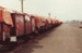 Photograph [Wagons of Smoke Damaged Meat, Mataura Freezing Works]; Green,Trevor; 30.04.1982; MT2013.3.19