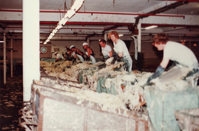 Photograph [Wool Pulling, Mataura Freezing Works]; Green,Trevor; 17.03. ...
