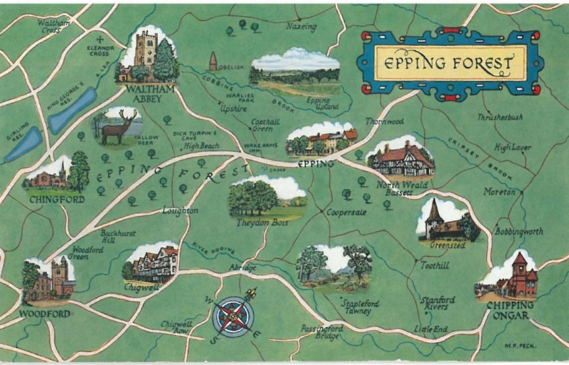 Postcard. Colour Print. Map of Epping Forest District. 