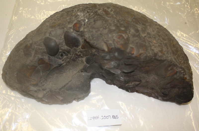 Quern stone. Similar to Roman one in St Albans Museum made of