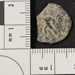Broken base denarius of Marcus Aurelius Antoninus III (Elagabalus); AD 220; 1932.6282 Broken base denarius of Marcus Aurelius Antoninus III (Elagabalus); AD 220; 1932.6282