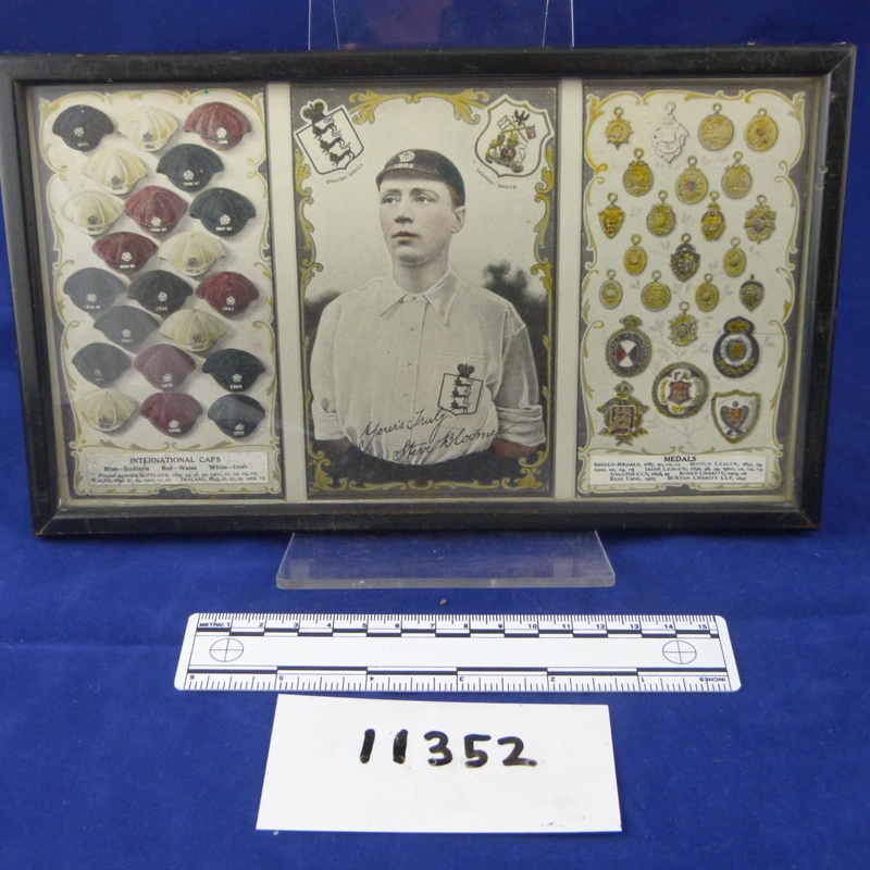 Steve Bloomer display triptych; 11352 | eHive