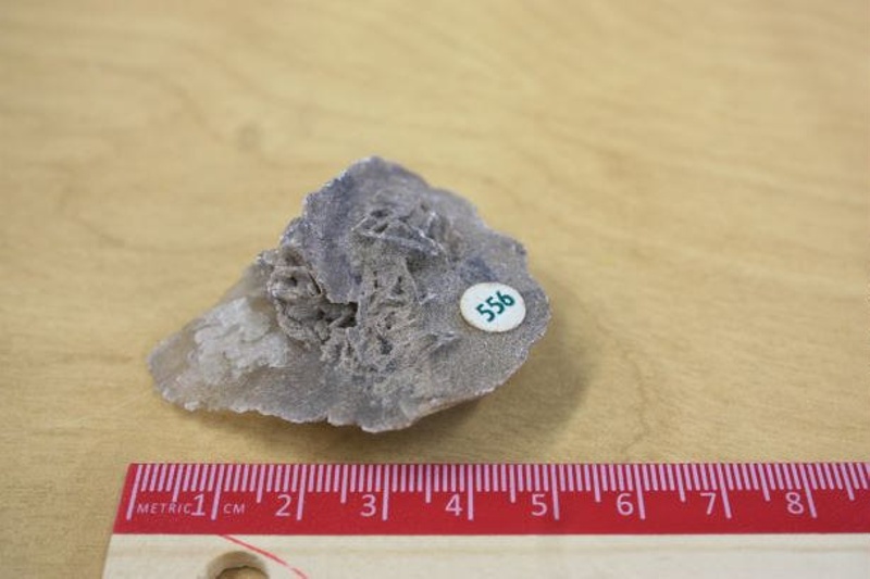 Gypsum; Mineralogy; Padre Island, Cameron County, Texas, USA; ABM 556