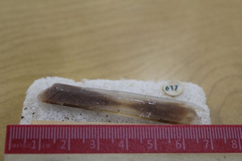 Gypsum; Mineralogy; [Great Salt Plains, Jet, Alfalfa County, Oklahoma