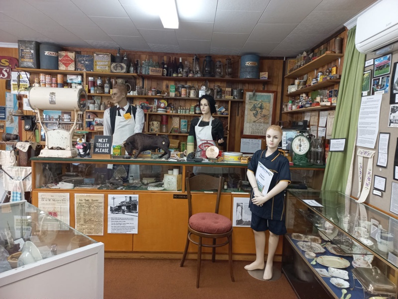 Bulls Museum