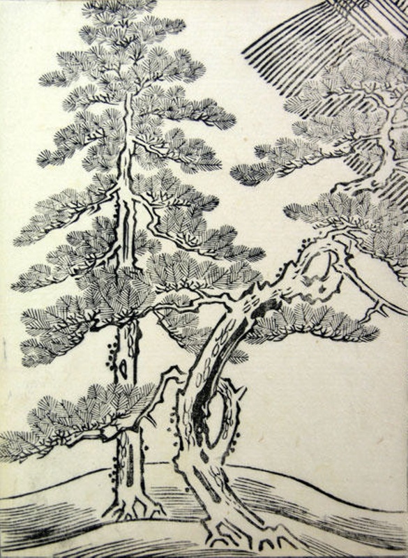 12700 Japanese Tree Drawing Illustrations RoyaltyFree Vector Graphics   Clip Art  iStock