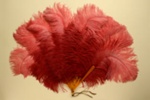 Feather Fan; c. 1920; LDFAN1991.40