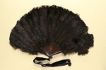 Feather Fan & Box; c.1880-90; LDFAN1993.24.1 & LDFAN1993.24.2
